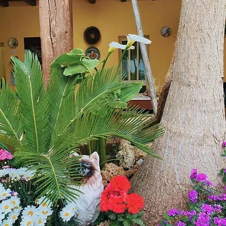 Pensión La Casa Di Anna *